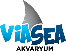 Viasea  Aquarium  - Istanbul  / TURKEY